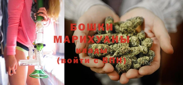 spice Богородск