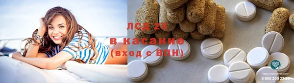 spice Богородск