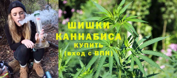 spice Богородск