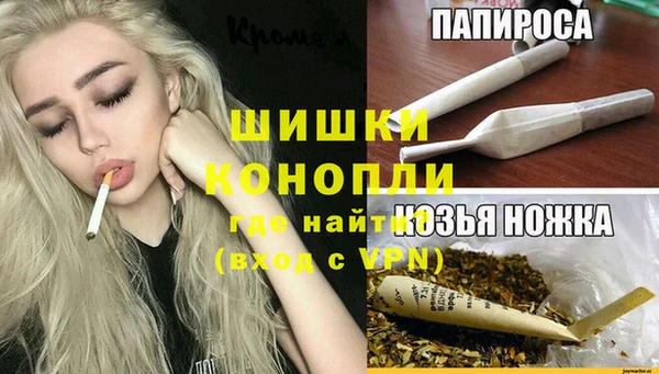 spice Богородск