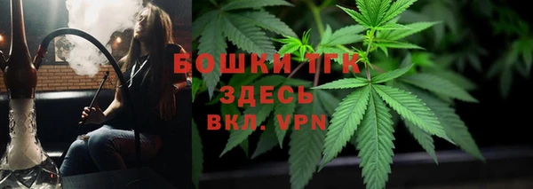 ECSTASY Богородицк