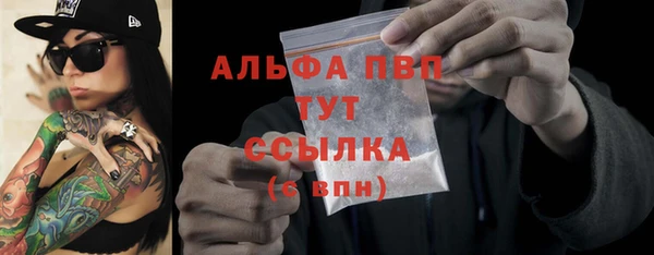 ECSTASY Богородицк