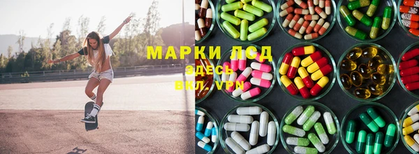 ECSTASY Богородицк