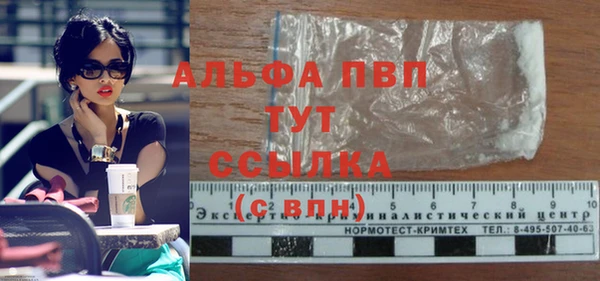 spice Богородск
