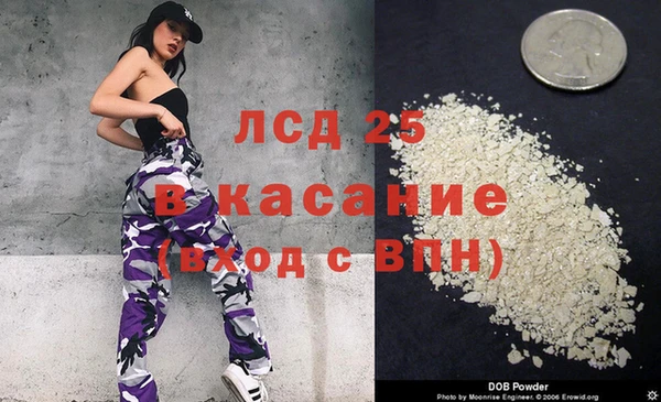 spice Богородск