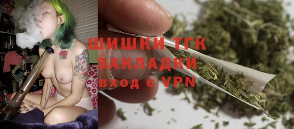 ECSTASY Богородицк