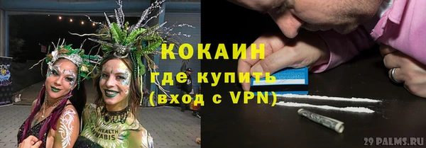 spice Богородск